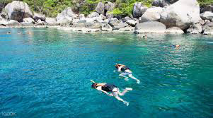 snorkelling koh tao