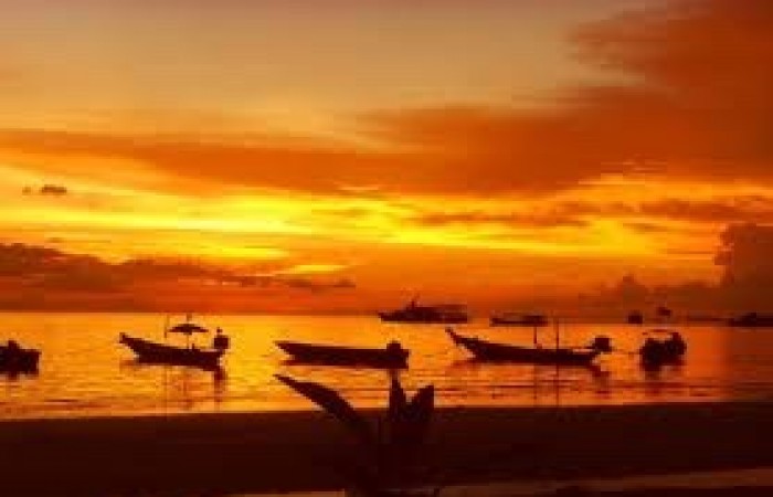 sairesuunset
